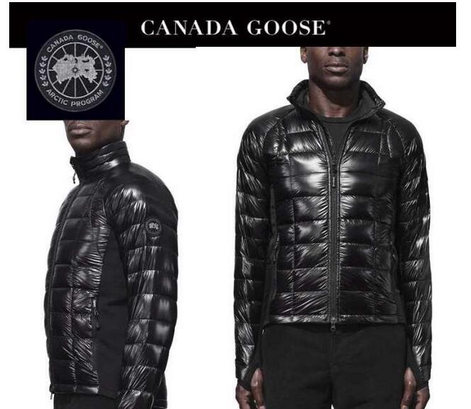 最高品質の希少なCANADA goose カナダグース 魅了し続けるダウン メンズ 人気