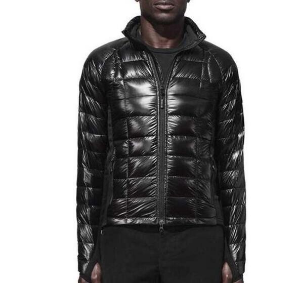 最高品質の希少なCANADA goose カナダグース 魅了し続けるダウン メンズ 人気