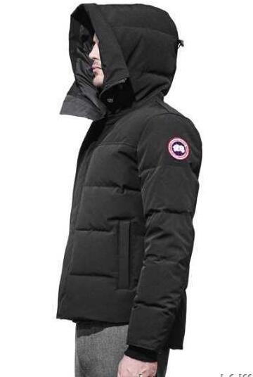 カナダグース ダウン メンズ canada goose #3804ma フード付き メンズ ダウンジャケット 限定セール品質保証の秋冬ショートコート.