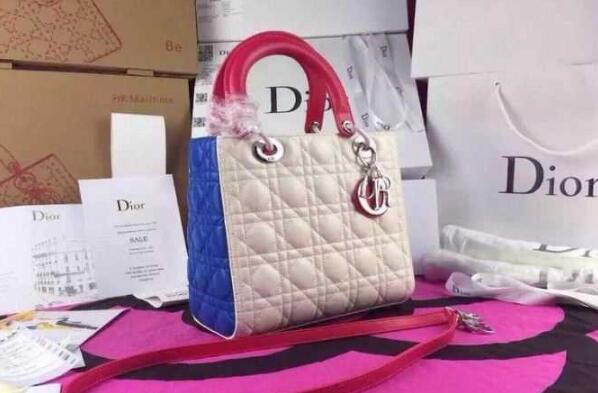 大活躍　ディオール コピー　DIOR　おしゃれに見えるバッグ