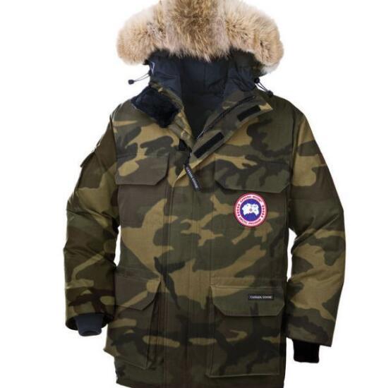 着用感あるCANADA goose　ダウンブランドランキング　カナダグース 美品