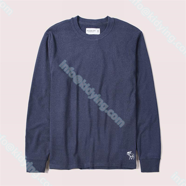 Abercrombie & Fitch 長袖Tシャツ