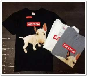 強い魅力を感じる一枚 2015 シュプリーム SUPREME 半袖Tシャツ 3色可選