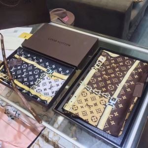 ルイ ヴィトン 2017秋冬季上質 大人気！  LOUIS VUITTON ロングマフラー2色選択可 秋冬の必須アイテム