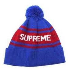 高級感　SUPREME 　季節感のあるシュプリーム コピー ...