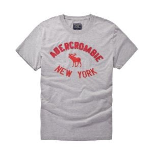 ルックスのいい 2018定番新作 アバクロンビー&フィッチ Abercrombie & Fitch 超人気大特価 Ｔシャツ/シャツ 2色可選