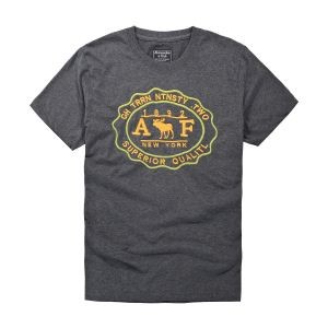 知的セクシースタイル 2018定番新作 アバクロンビー&フィッチ Abercrombie & Fitch Ｔシャツ/シャツ 2色可選