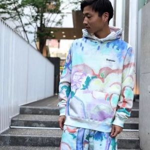 新たな世界に新作通販 18SS Supreme Landscape Hooded Sweatshirt 逸品 パーカーオ シャレ