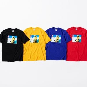 SUPREME シュプリーム 半袖Tシャツ 多色可選 Supreme x The north face photo tee 18FW 2018秋冬の定番新品