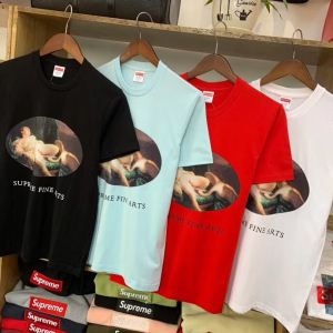 抜群着心地SUPREMEシュプリーム tシャツ コピーleda-and-the-swan-tee半袖Tシャツ丈夫で柔らかな生地感