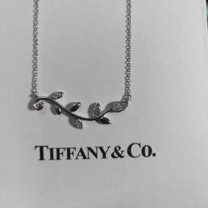 好感度が高いアイテム ティファニー Tiffany&Co ネ...