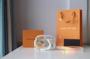 ルイ ヴィトン LOUIS VUITTON 斜め掛けバッグ 秋に向けて流行しそうな新作  2019年秋冬コレクションを展開中