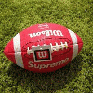 大人気再登場 SUPREME x Wilson 10FW MINI Football ラグビー（ボール）